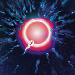 inseminacion-artificial